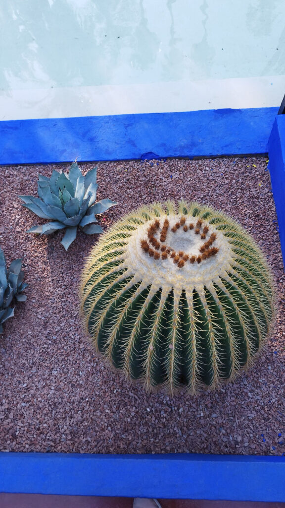 Garten Jardin Majorelle