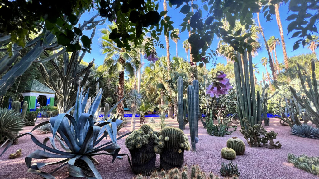 Garten Jardin Majorelle in Marrakesch