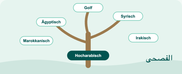 Gezeichnete Illustration zum Beitrag: Hocharabisch oder Dialekt? Womit du am besten anfängst